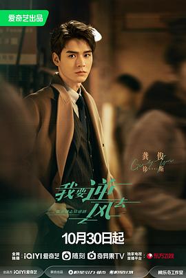 珠海市seo关键词优化价格